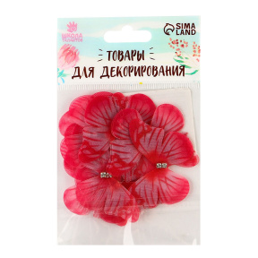 Decor pentru creație „Fluture”, strat dublu, set 12 buc., mărime 1 buc. — 5×4 cm, roșu