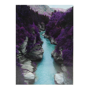 Тетрадь A4 96 листов клетка IDEE Purple forest твердая обложка